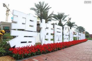 碧桂园爆料了没有最新消息,揭秘爆料背后的真相与进展”